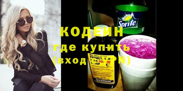 соль ск Тайга