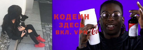 индика Тавда