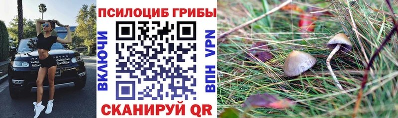 Галлюциногенные грибы Cubensis  Новосиль 